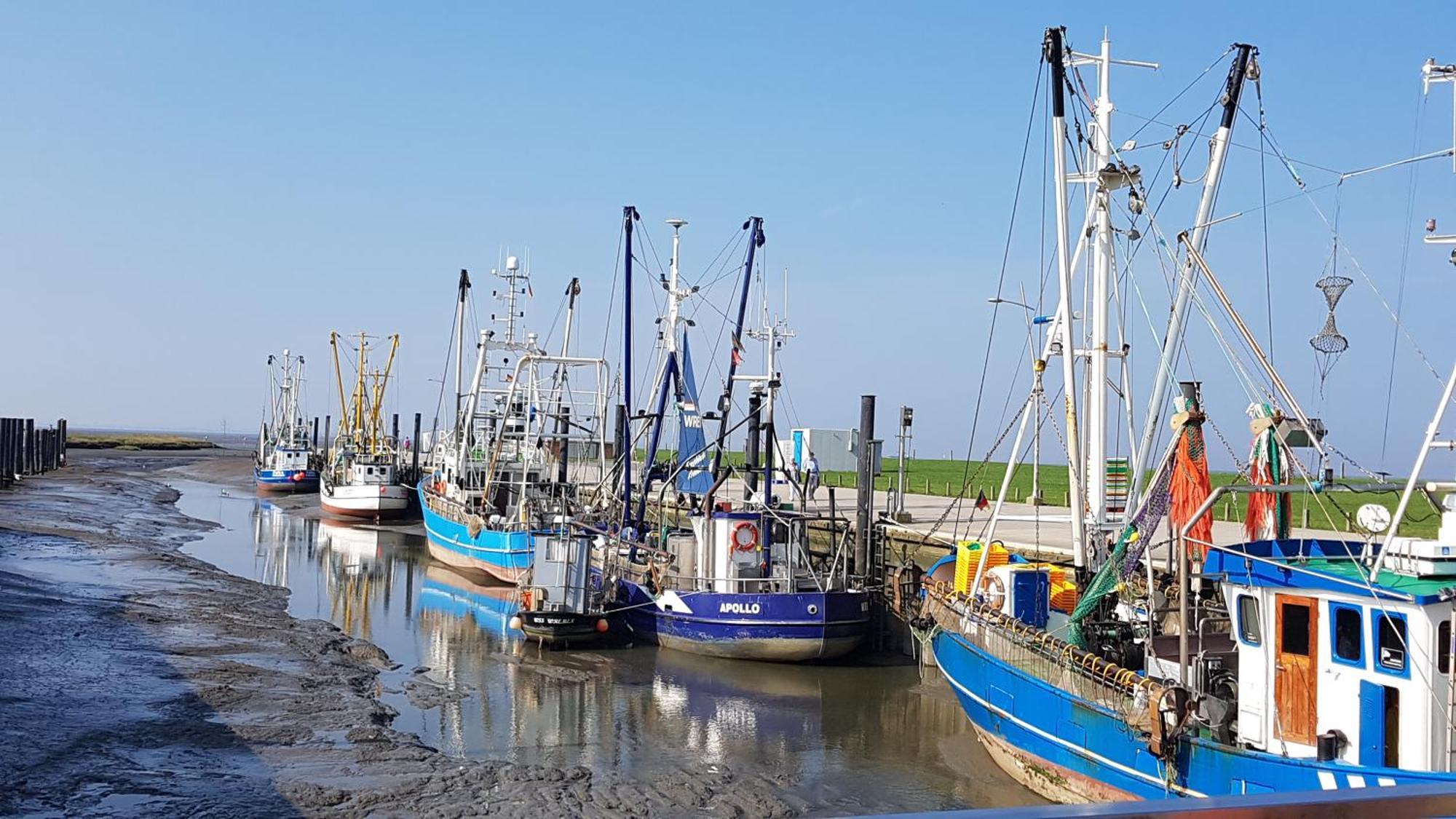 Ferienwohnung Alea, Zentrumsnah Bremerhaven Exterior foto